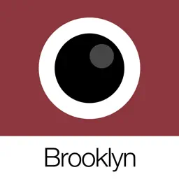 Analog Brooklyn (模拟布鲁克林)