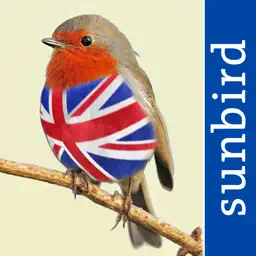 All Birds UK - the Photo Guide