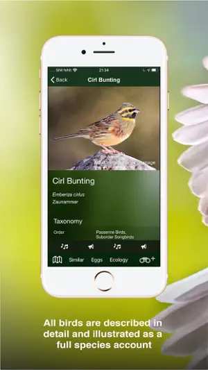 All Birds UK - the Photo Guide截图3