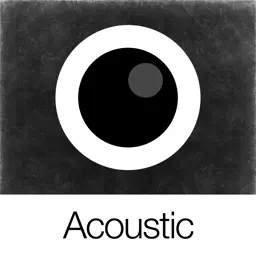 Analog Acoustic (模拟声学)
