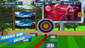 Archery Target Master Pro截图3