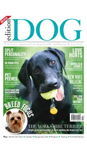 Edition Dog Magazine截图9