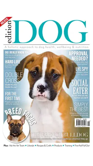 Edition Dog Magazine截图5