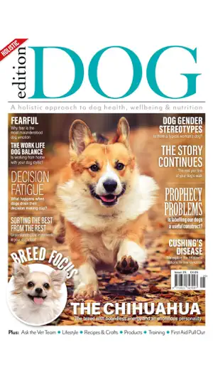 Edition Dog Magazine截图1