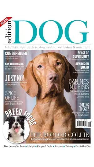 Edition Dog Magazine截图7