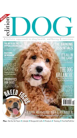 Edition Dog Magazine截图4