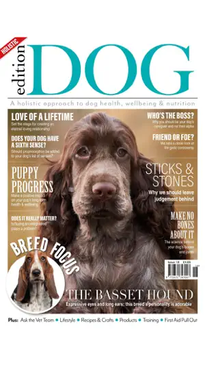 Edition Dog Magazine截图8